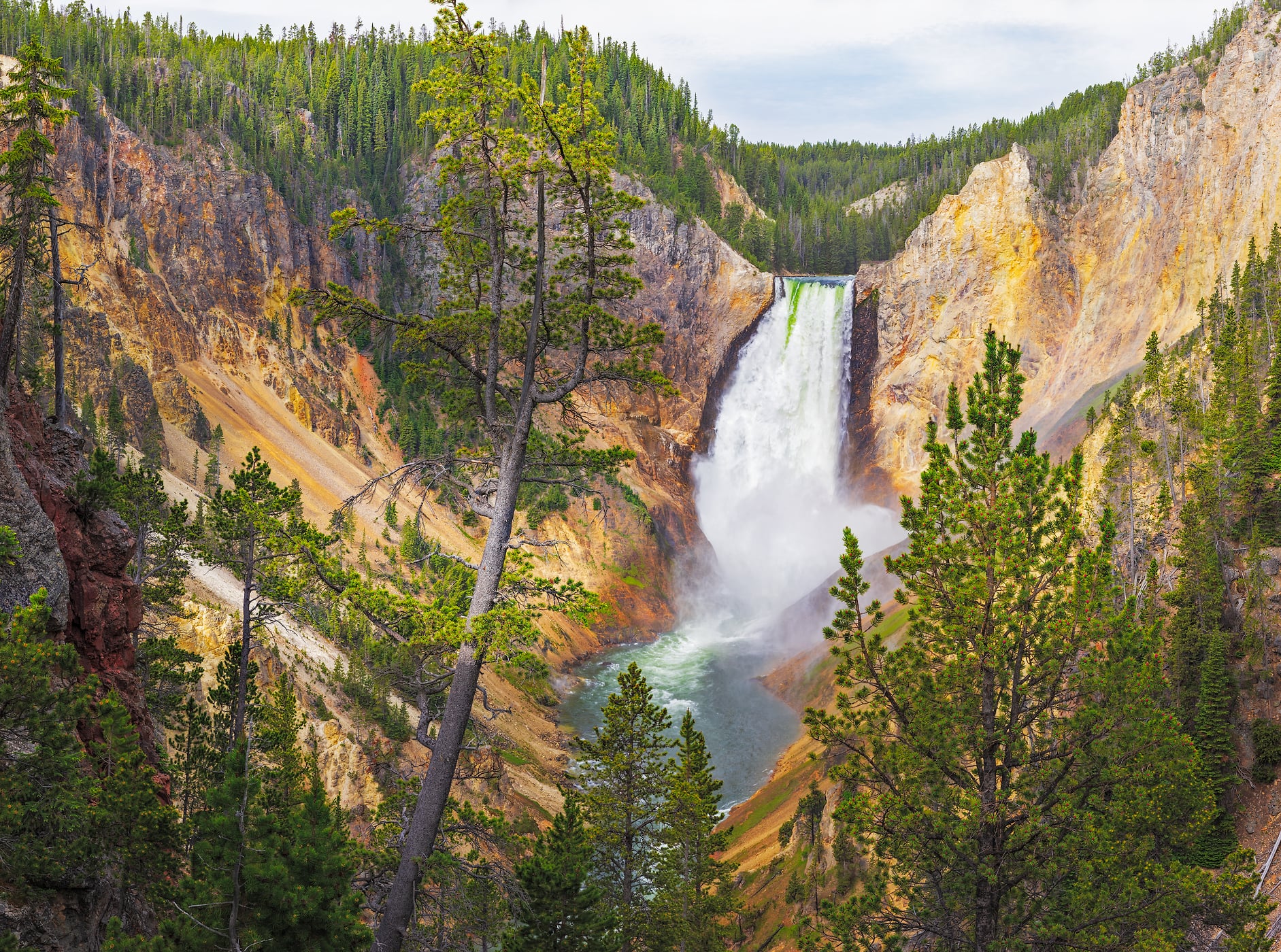 2,869 megapixels! A very high resolution, gigapixel photo of Yellowstone Falls waterfall in Yellowstone National Park; nature photograph created by John Freeman in Wyoming.