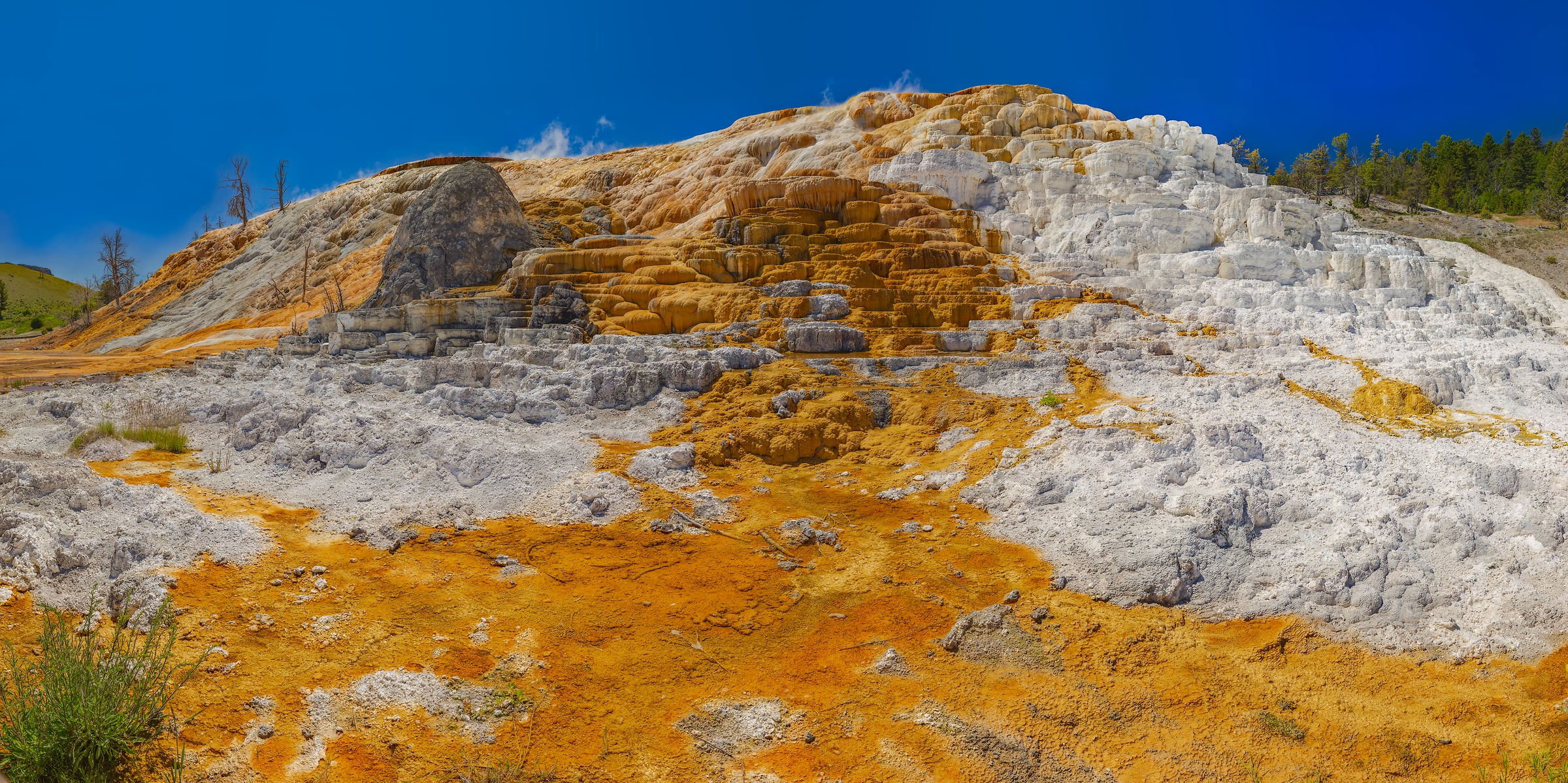 3,736 megapixels! A very high resolution, gigapixel VAST photo of Mammoth Hot Springs in Yellowstone National Park; photograph created by John Freeman in Wyoming.