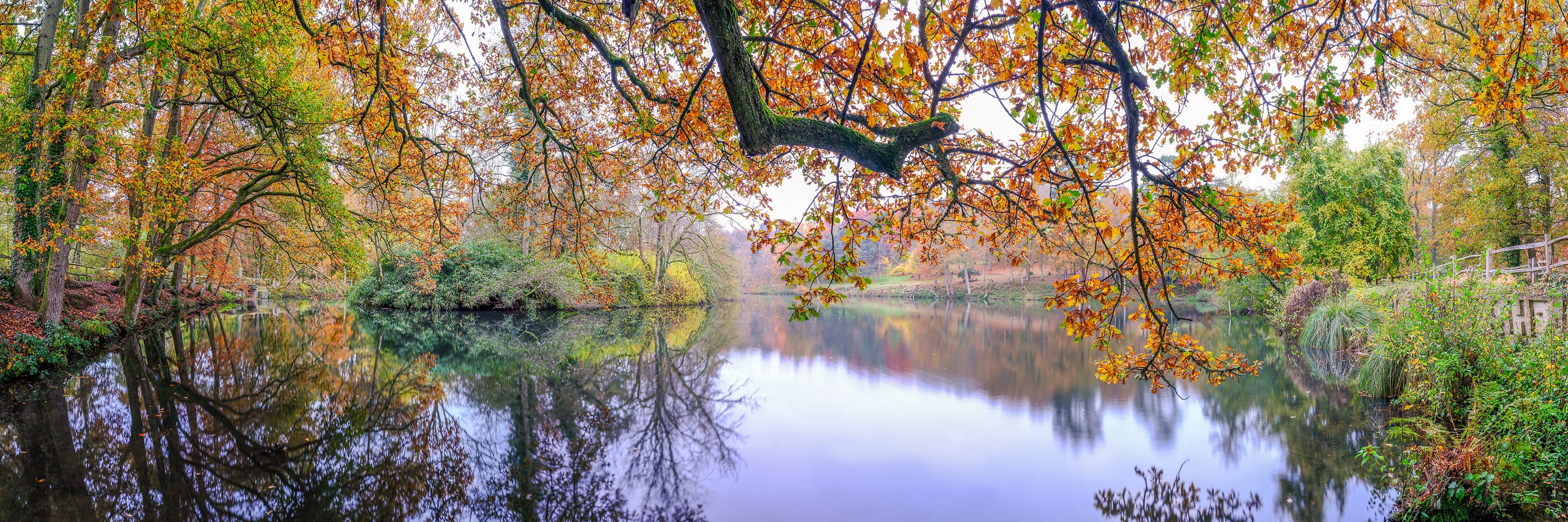 223 megapixels! A very high resolution, large-format VAST photo print of a peaceful pond in autumn; nature photograph created by Assaf Frank in Busbridge, Godalming, United Kingdom.