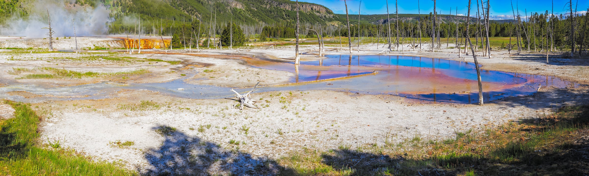 2,696 megapixels! A very high resolution, large-format VAST photo print of Black Sand Geyser Basin in Yellowstone National Park; nature photograph created by John Freeman in Wyoming.