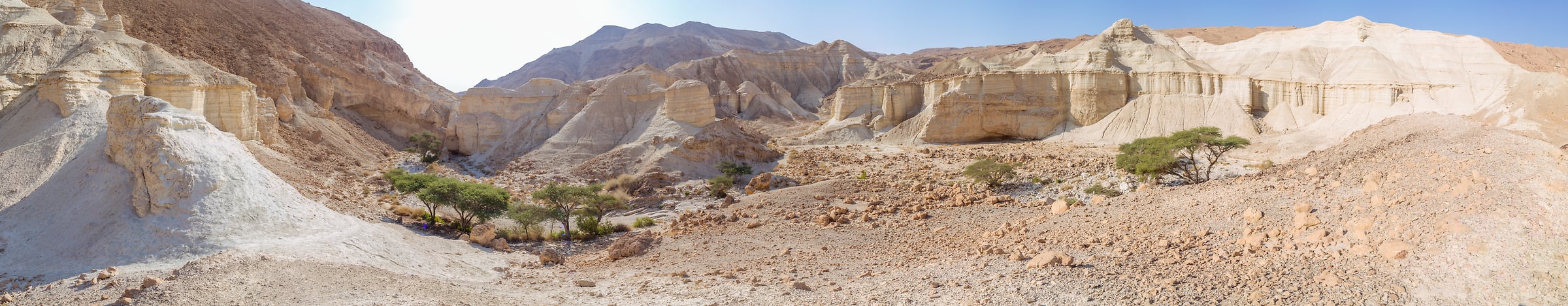 465 megapixels! A very high resolution, large-format VAST photo print of the Negev Desert in Israel; landscape photograph created by Assaf Frank in Negev Desert, Israel.