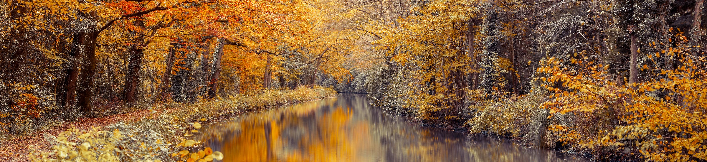 260 megapixels! A very high resolution, large-format VAST photo print of a stream going through woods during autumn with colorful orange foliage; nature photograph created by Assaf Frank in Hook, United Kingdom.