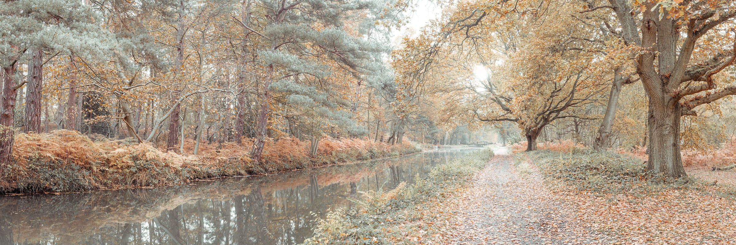 212 megapixels! A very high resolution, large-format VAST photo print of a peaceful stream in the woods with autumn foliage; nature photograph created by Assaf Frank in Pirbright, Woking, United Kingdom.