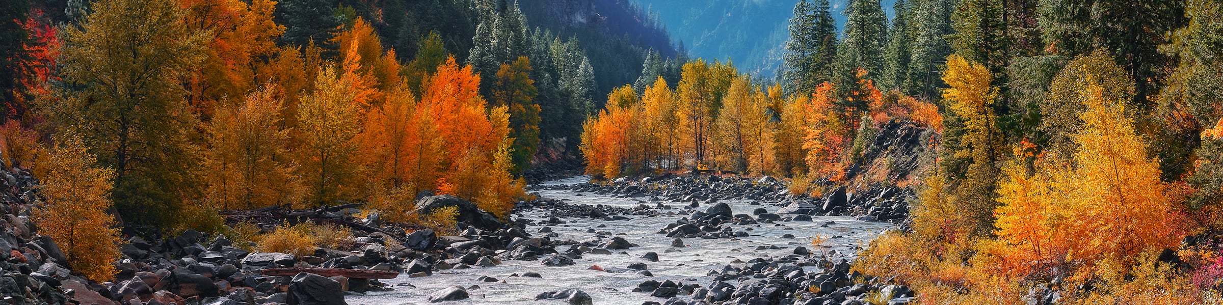 270 megapixels! A very high resolution, panorama photo print of a fall nature scene with a mountain river and trees with orange foliage; nature photograph created by Chris Collacott.