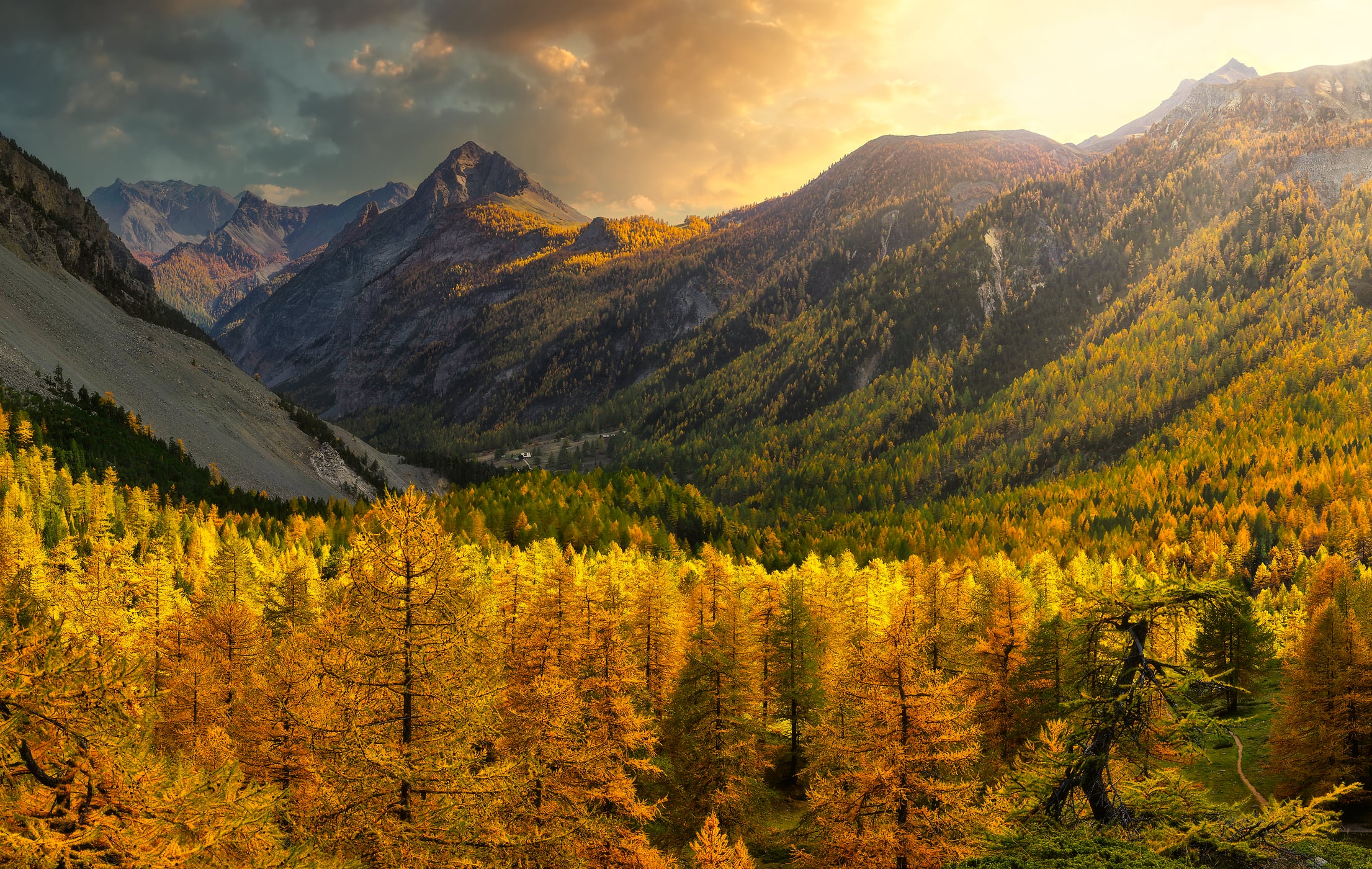 142 megapixels! A very high resolution, large-format VAST photo print of a beautiful autumn landscape with a valley filled with golden fall foliage illuminated by a bright sunset; fine art wall decor photograph created by Duilio Fiorille at Pont de la Fonderie in Annavascha, France.