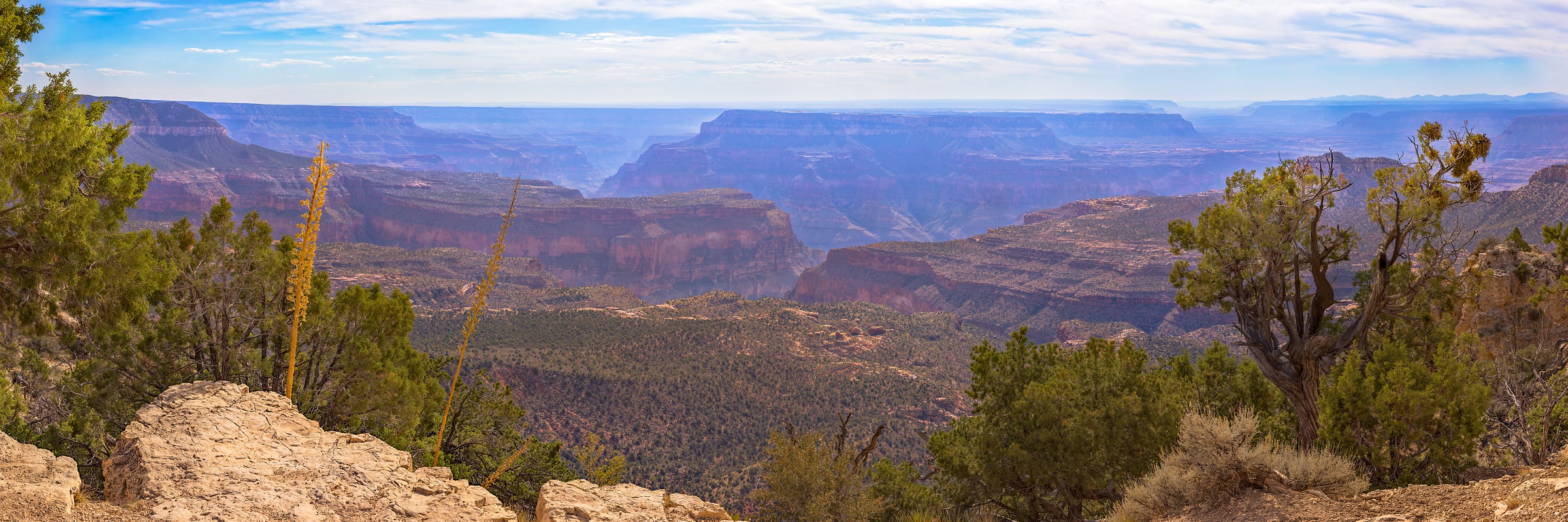 2,193 megapixels! A very high resolution, gigapixel photo of the Grand Canyon; landscape photograph created by John Freeman from the North Rim at Grand Canyon National Park, Arizona.