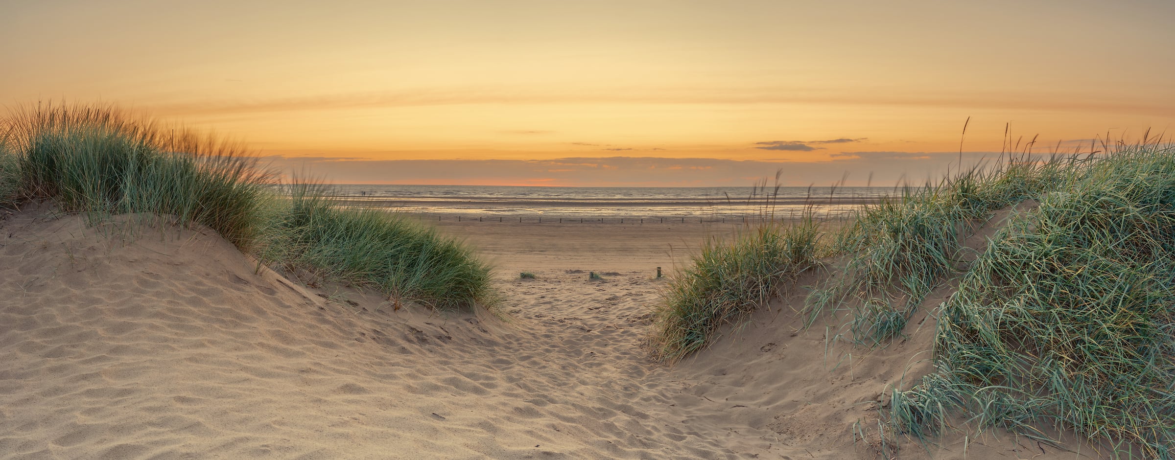 194 megapixels! A very high resolution, large-format VAST photo print of beach sand dunes at sunset with beach grass waving in the wind; fine art photograph created by Assaf Frank in Southport, United Kingdom.