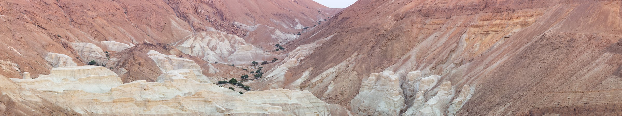 301 megapixels! A very high resolution, large-format panorama photo of the sandy texture of a desert; photograph created by Assaf Frank in Negev Desert, Israel.