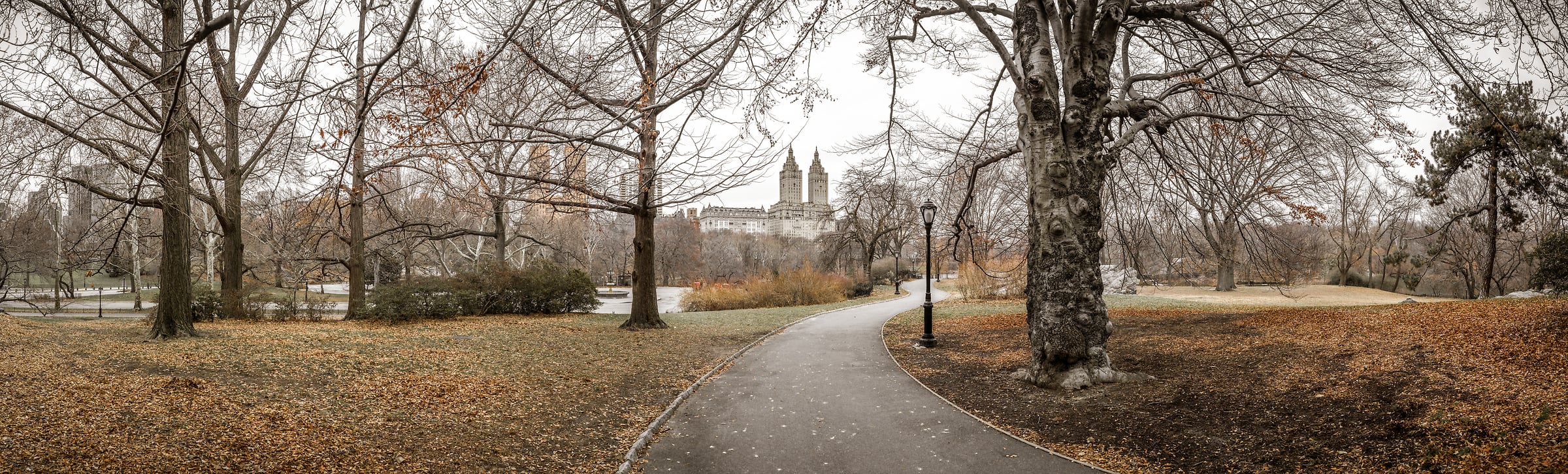 351 megapixels! A very high resolution, large-format VAST photo print of a pathway in Central Park; fine art photograph created by Assaf Frank in New York City.