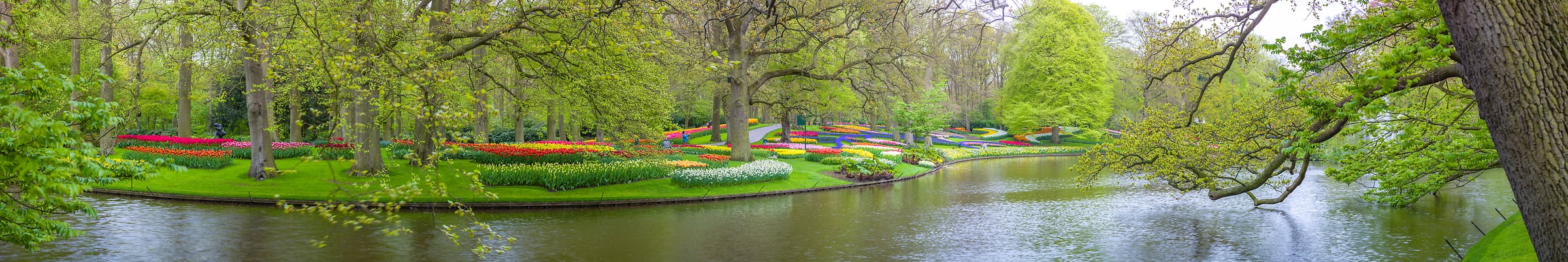 362 megapixels! A very high resolution, panorama photo of a flower garden; photograph created by Assaf Frank at the Keukenhof Tulip Garden in Keukenhof, Netherlands.