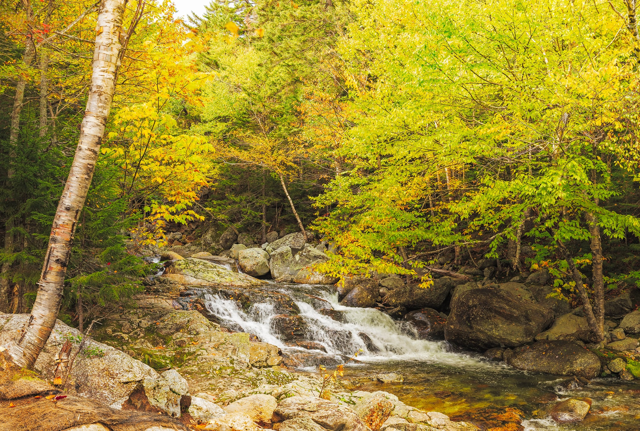 2,156 megapixels! A very high resolution, wall mural photo of a beautiful waterfall in the woods; nature photograph created by John Freeman on the Tuckerman Ravine Trail in Gorham, New Hampshire.