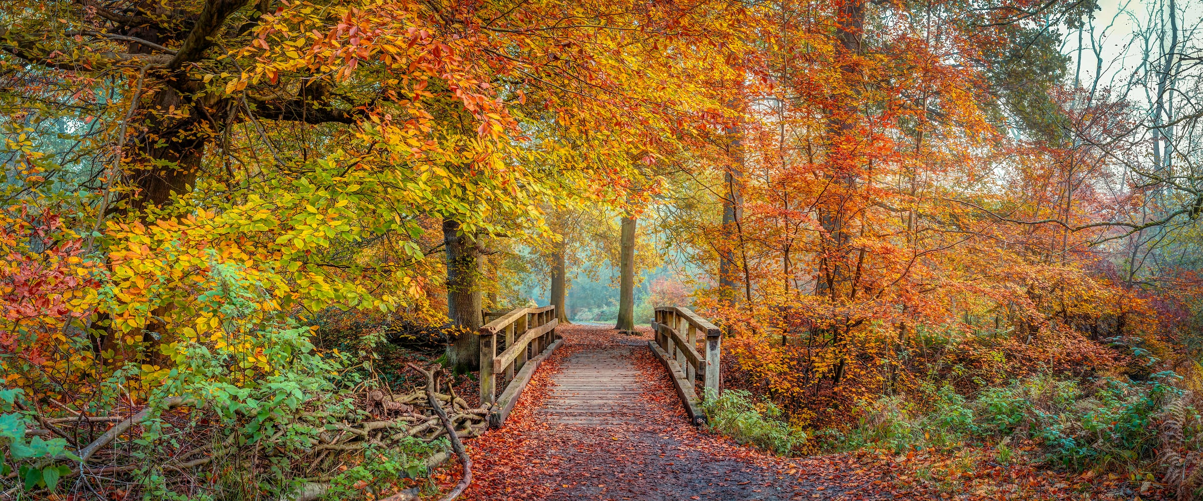 182 megapixels! A very high resolution, large-format VAST photo print of woods in the season of autumn with a bridge and pathway; nature photograph created by Assaf Frank in Berkhamsted, United Kingdom.