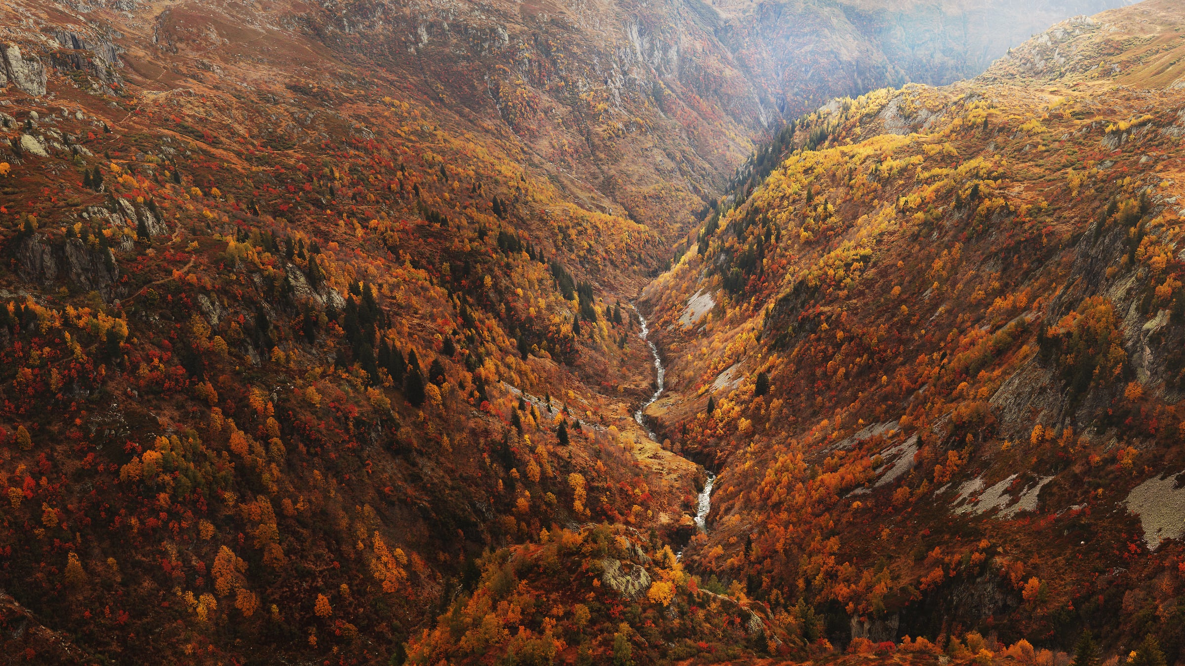 956 megapixels! A very high resolution, large-format VAST photo print of a beautiful valley with trees and colorful autumn foliage in the fall; landscape photograph created by Alexandre Deschaumes.