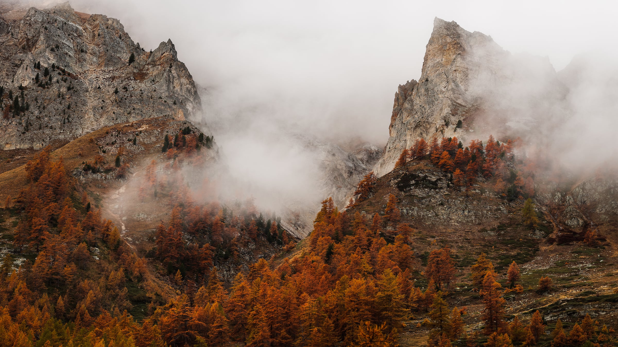 216 megapixels! A very high resolution, large-format VAST photo print of misty clouds on a mountain hillside with autumn trees and colorful foliage and mountain peaks; landscape photograph created by Alexandre Deschaumes.