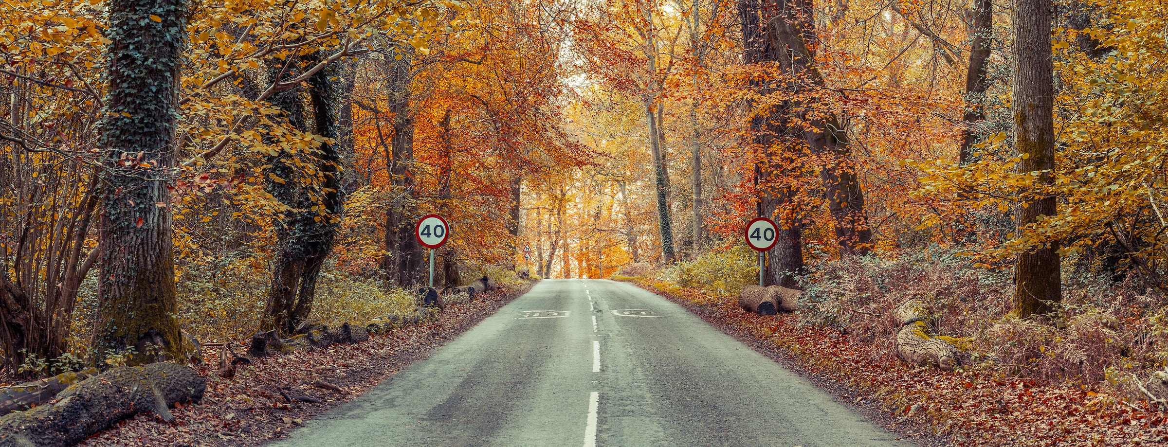 198 megapixels! A very high resolution, large-format VAST photo print of a scenic road in autumn with fall colors in the foliage; fine art photograph created by Assaf Frank in Tring, United Kingdom.