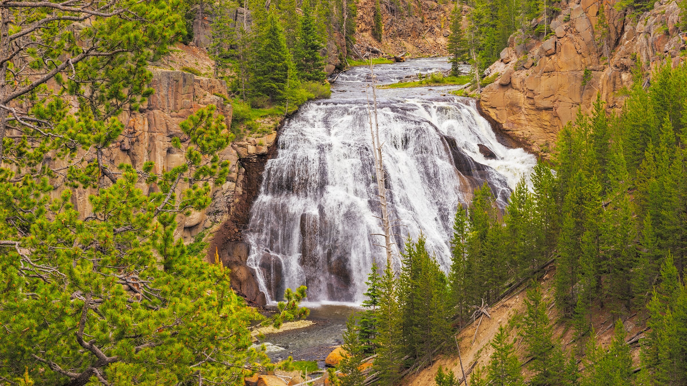 750 megapixels! A very high resolution, large-format VAST photo print of Gibbon Falls waterfall in Yellowstone National Park; nature photograph created by John Freeman in Wyoming.