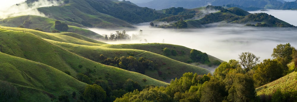 green-hills-panorama-1000x584.