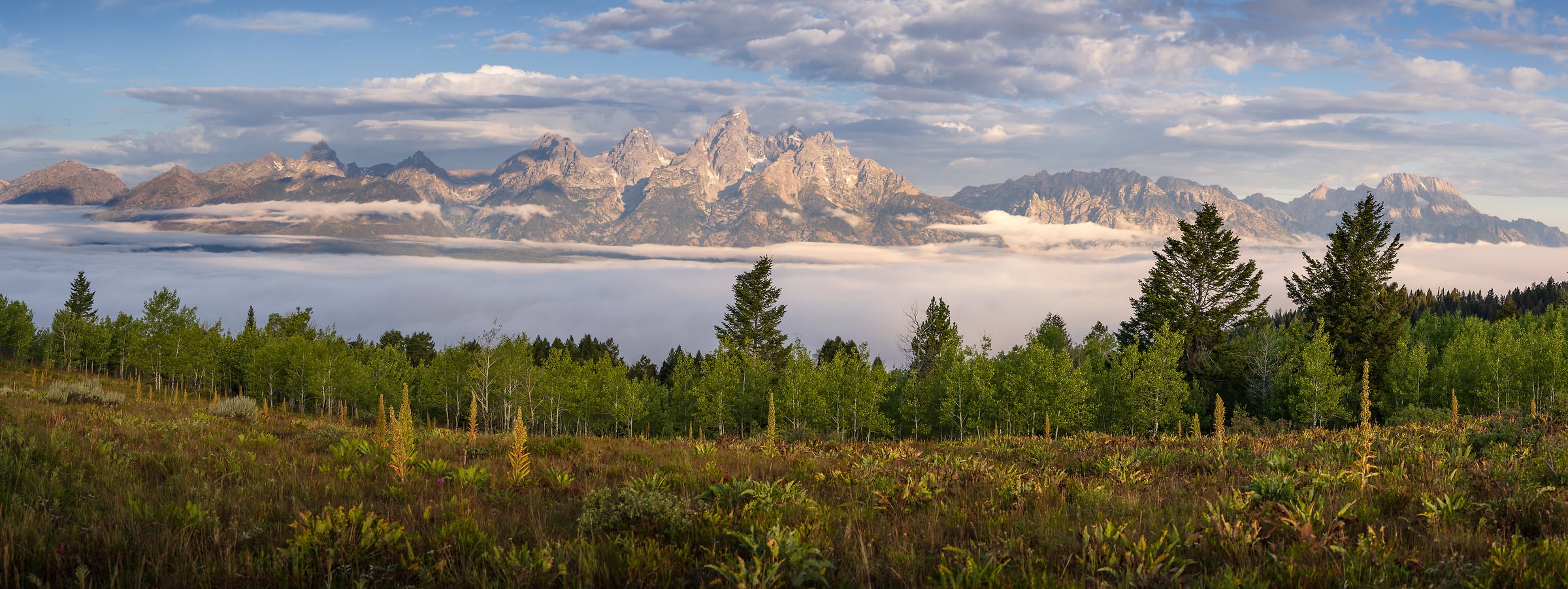 191 megapixels! A very high resolution, large-format landscape photo print of the Grand Tetons with a field in the foreground, trees, in the midground, and mountains in the background above a sea of clouds; photograph created by Jeff Lewis from Grand Teton National Park in Jackson, Wyoming.