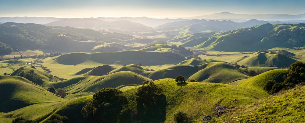 spring-landscape-photo-