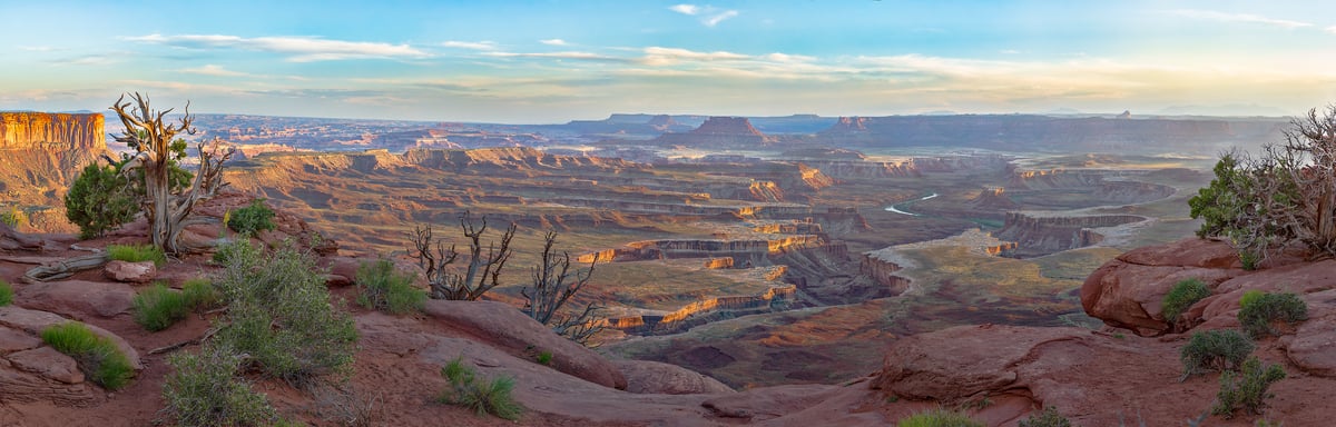 1,214 megapixels! A very high resolution, large-format VAST photo print of a huge canyon network across a desert landscape in Canyonlands National Park; landscape photograph created by John Freeman in Green River Overlook, Island in the Sky, Canyonlands National Park, Utah.