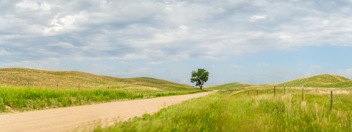 350 megapixels! A very high resolution, large-format VAST photo print of a sentimental landscape with a lone tree amid a field of rolling hills with a road traveling through the middle of the photo towards the tree; landscape photograph created by Jerred Zegelis in Hyannis, Nebraska.