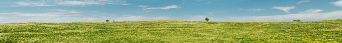 1,174 megapixels! A very high resolution, gigapixel panorama photo of a beautiful prairie scene with a field of green grass and a few isolated trees; landscape photograph created by Jerred Zegelis in Manhattan, Kansas.