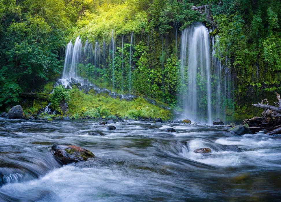 267 megapixels! A very high resolution, large-format VAST photo print of a beautiful waterfall on the side of a lush rockface going down into a flowing river; nature photograph created by Jeff Lewis in Dunsmuir, California.