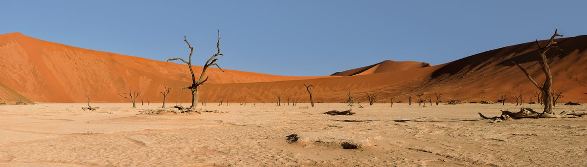 947 megapixels! A very high resolution panorama photo print of a desolate landscape with sand dunes, dead trees, and a clay pan; photograph created by Scott Dimond in Deadvlei, Sossusvlei, Namib-Naukluft National Park, Namibia.