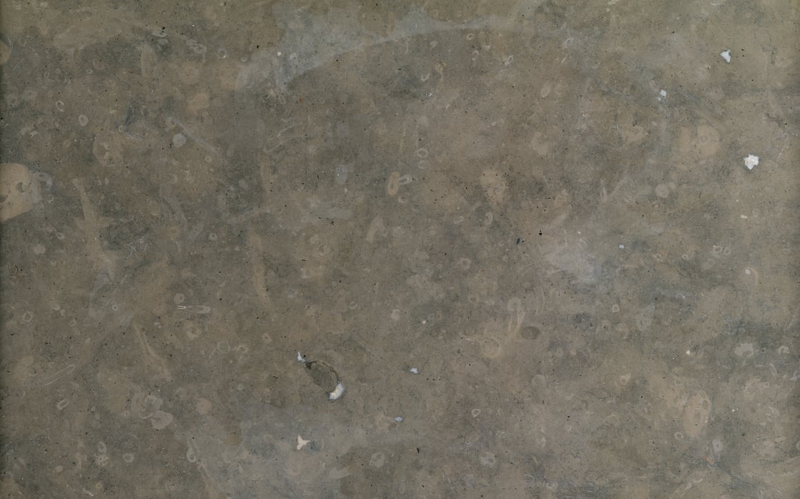 1,508 megapixels! A very high resolution texture photo of brown fossil limestone; gigapixel image available to be licensed and downloaded as a digital file from VAST; photograph created by David Lineton.