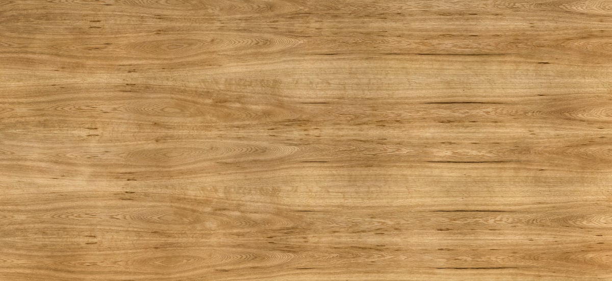 3,187 megapixels! A very high resolution texture photo of natural walnut cathedral grain; gigapixel image available to be licensed and downloaded as a digital file from VAST; photograph created by David Lineton.