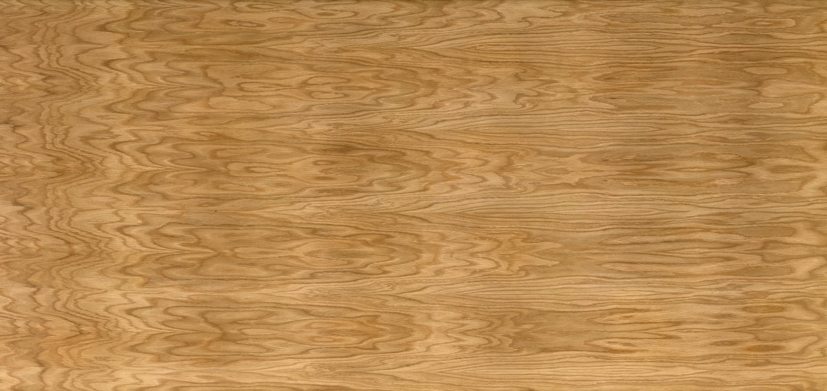 3,254 megapixels! A very high resolution texture photo of crown-cut oak veneer; gigapixel image available to be licensed and downloaded as a digital file from VAST; photograph created by David Lineton.