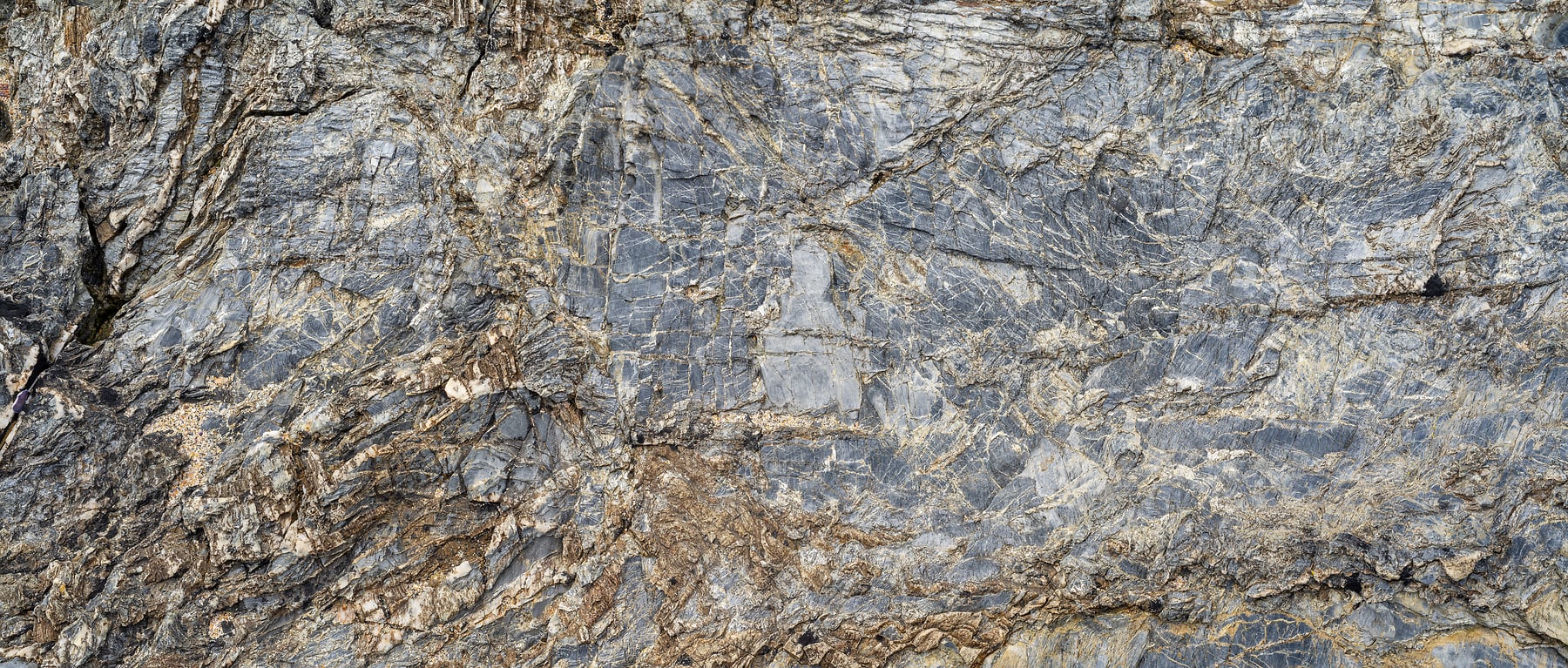 Metamorphic Rock Texture with Intricate White Veining: VAST