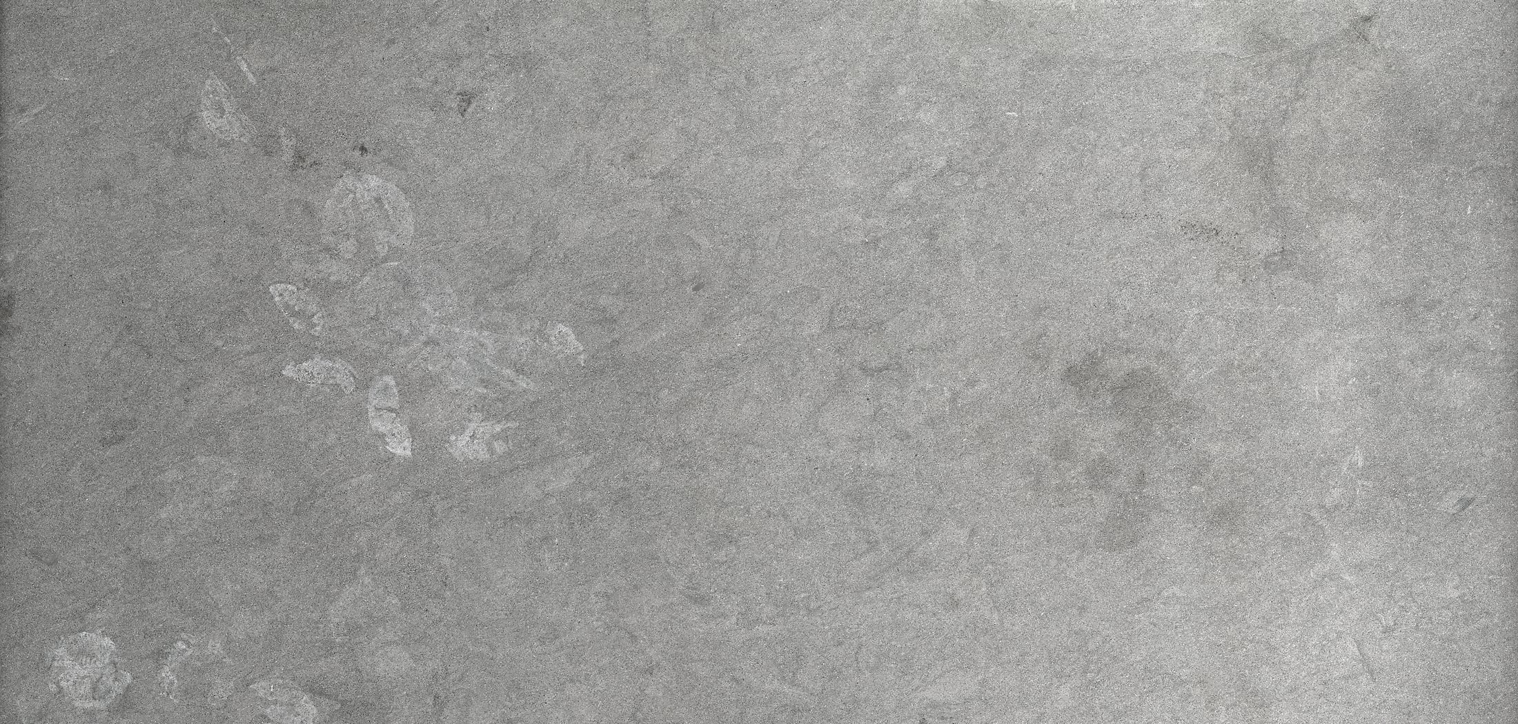 Grey Limestone Surface Texture: Download high-res image file