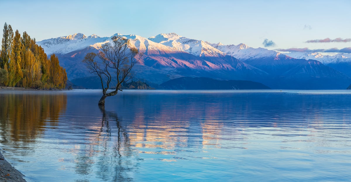 247 megapixels! A very high resolution, large-format VAST photo print of a peaceful lake with a tree in the water and snow-capped mountains in the background; landscape photograph created by John Freeman at Wanaka Lake on South Island, New Zealand.