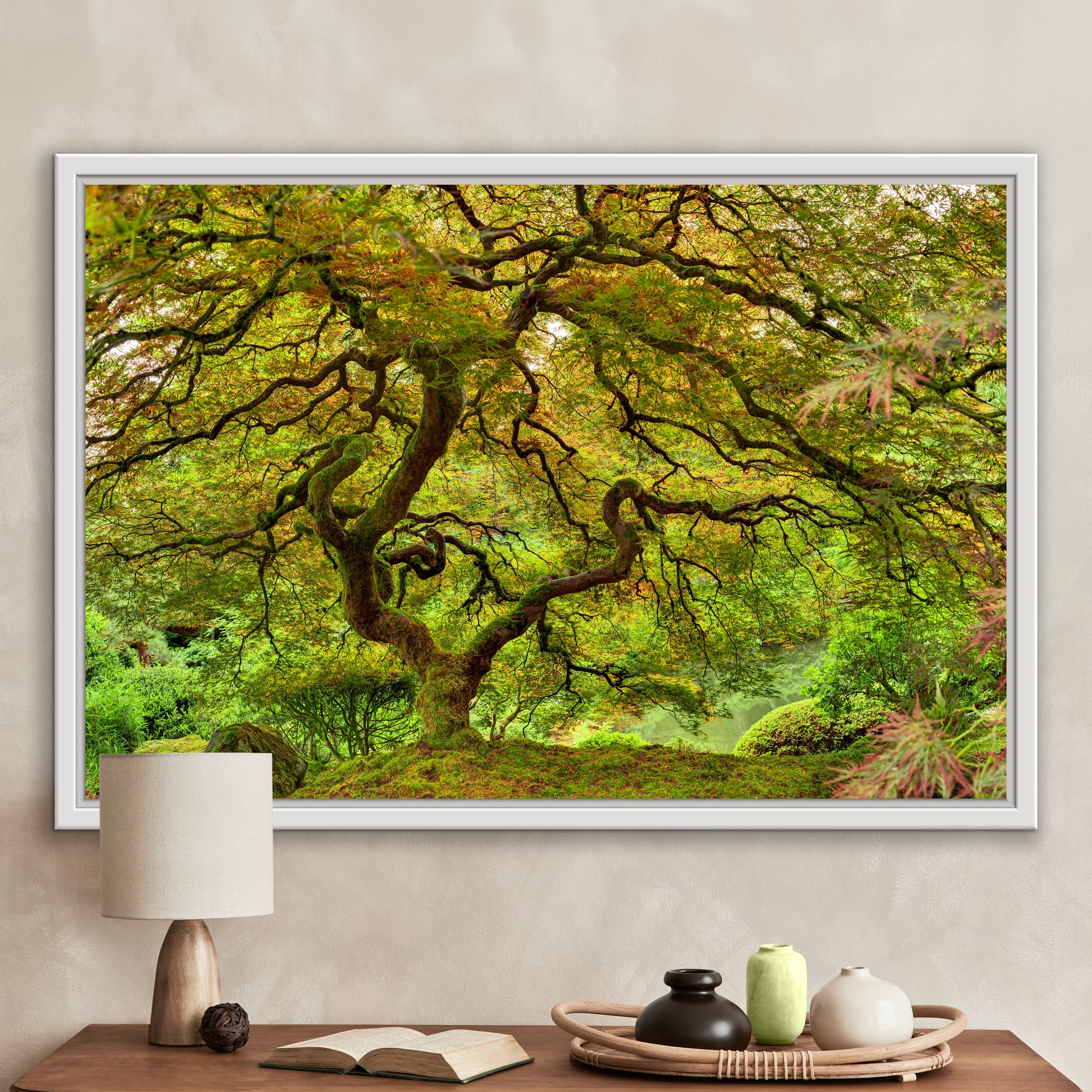 Plantation Grown Timbers ミラー Plantation Grown Timbers ミラー（メーカー廃盤 ディスコン品