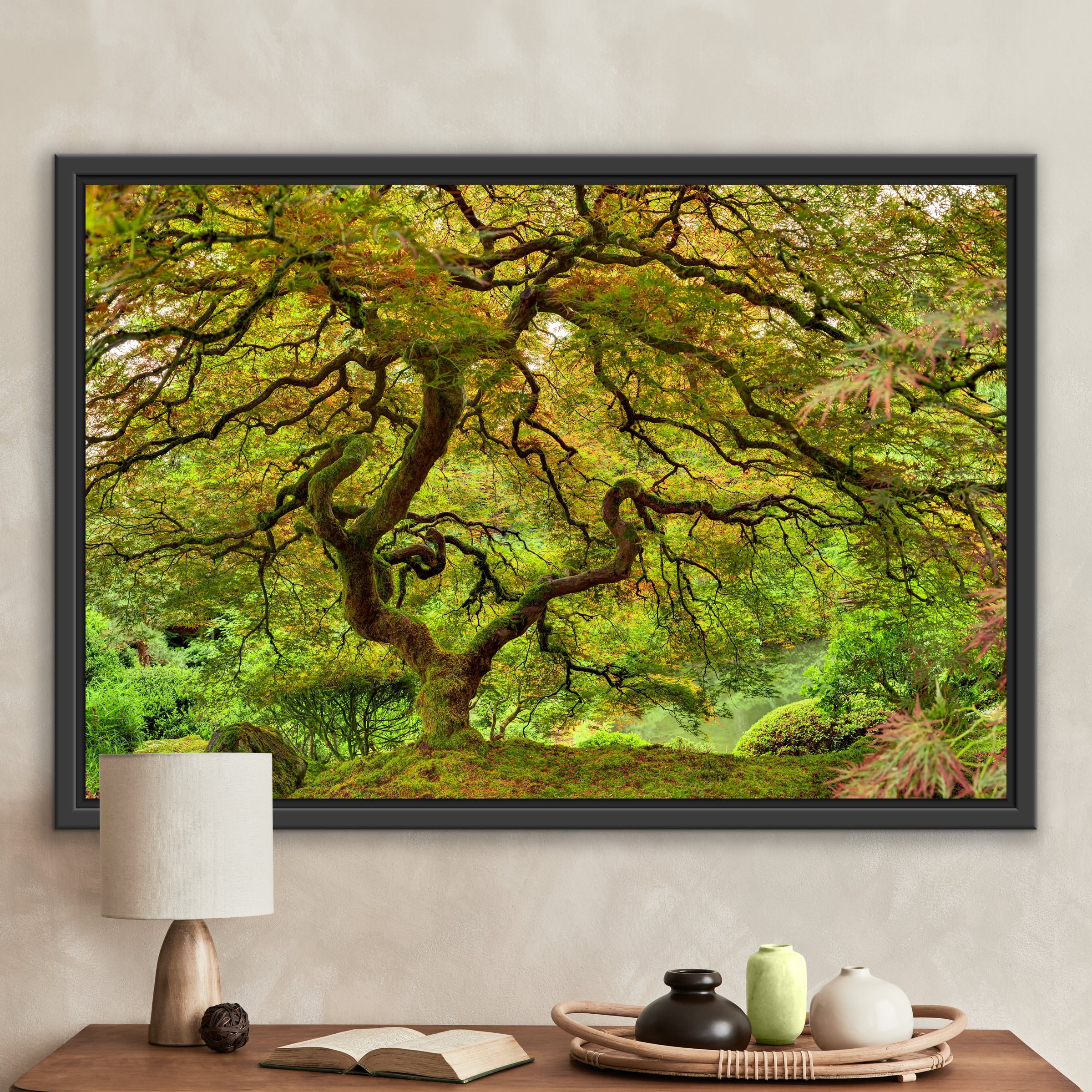 Photo of a Japanese garden maple tree - VAST