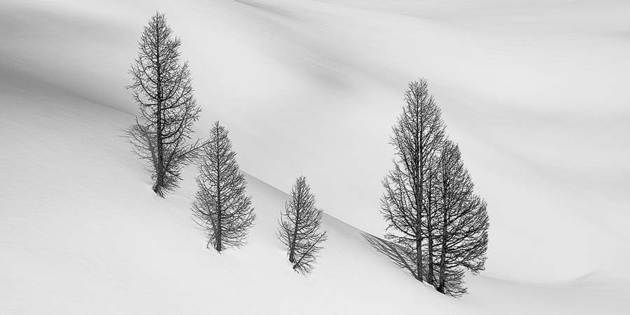 An example ultra-high-resolution black & white photo from VAST.