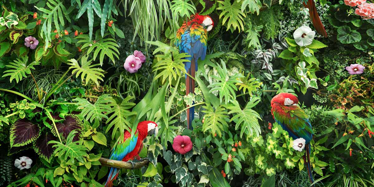 Large Format Backgrounds 36,646 Wallpaper Mobile Stock Photos Free