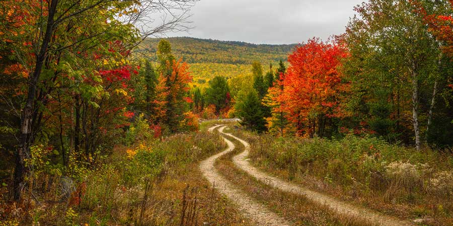 An example ultra-high-resolution photo of a pathway/road from VAST.
